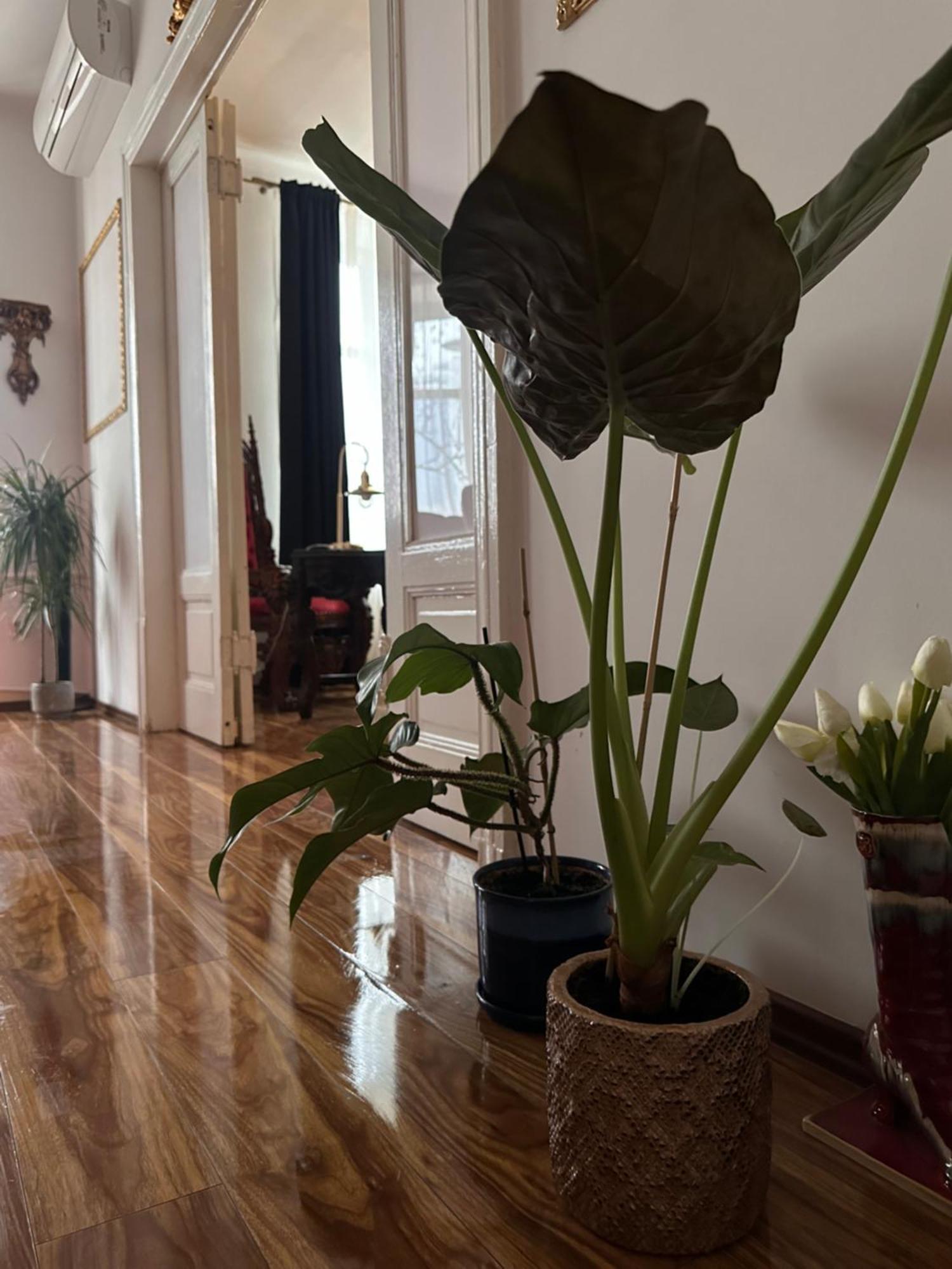 Exclusive Apartment Chmielna Street 95M2 Varsovie Extérieur photo